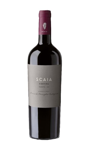Scaia Corvina Rosso Veneto IGT