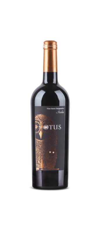 Asio Otus Vino Rosso Amabile