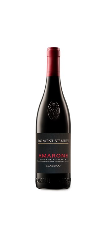 Amarone della Valpolicella Classico DOCG  Domini Veneti