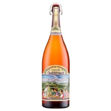 Appenzeller Quöllfrisch naturtrüb Bügel 3Lt.