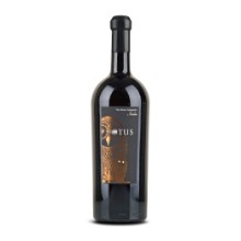 Asio Otus Vino Rosso Amabile