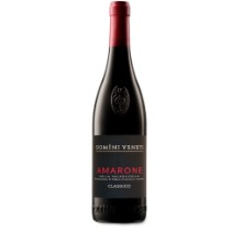 Amarone della Valpolicella Classico DOCG  Domini Veneti